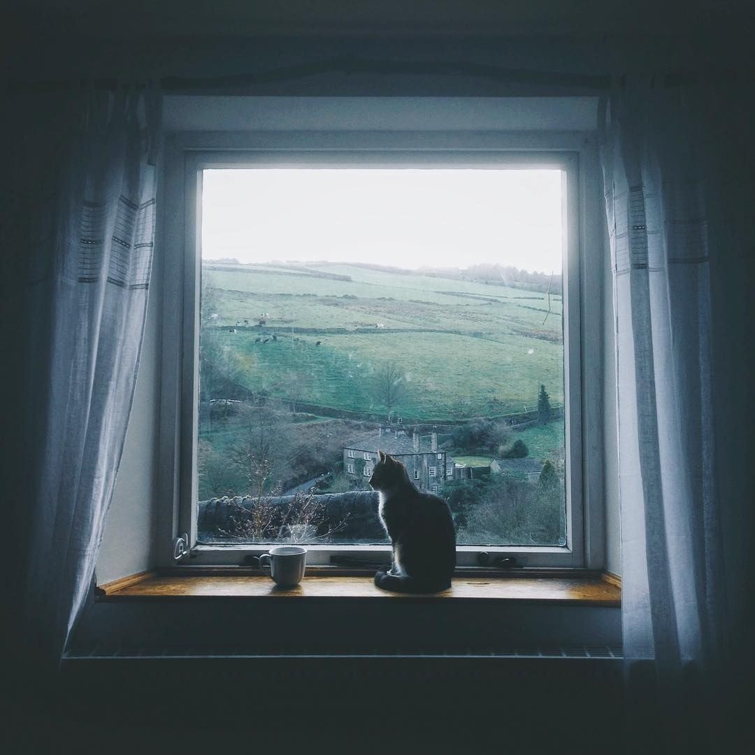 Tipos de alféizares de ventanas