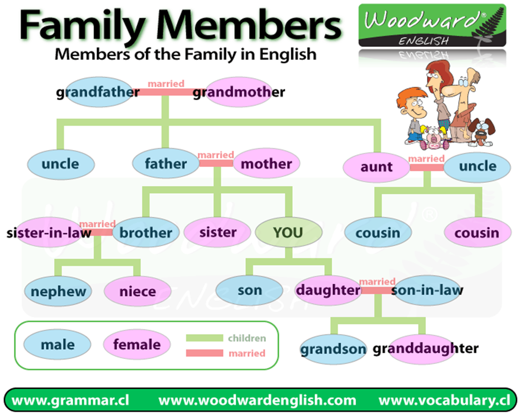 Inglés vocabular inglés