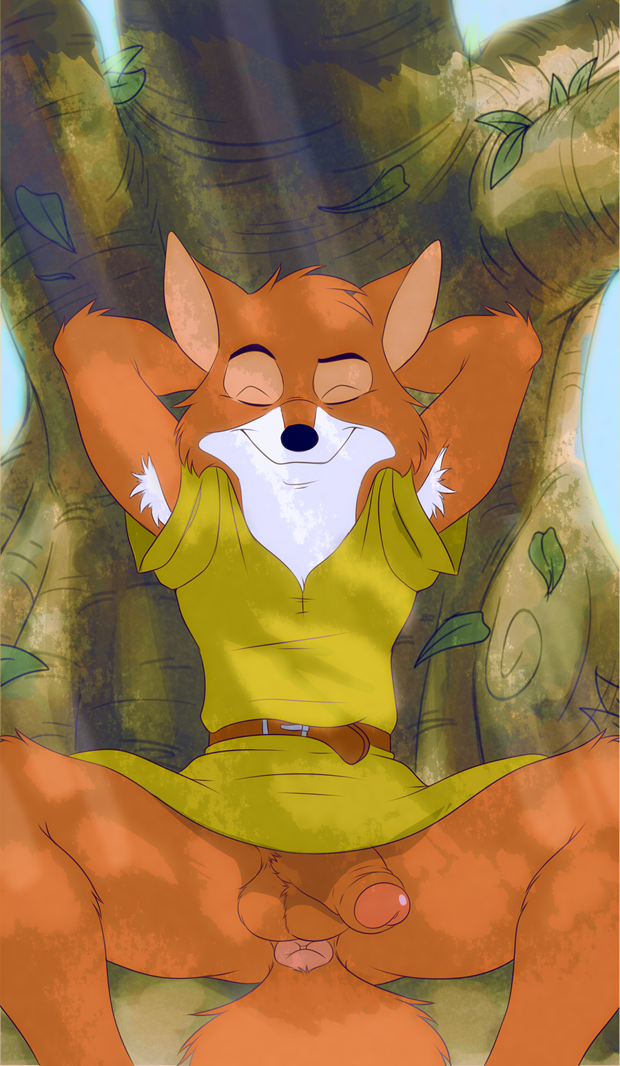 Robin Hood Cartoon 1973 Hentai