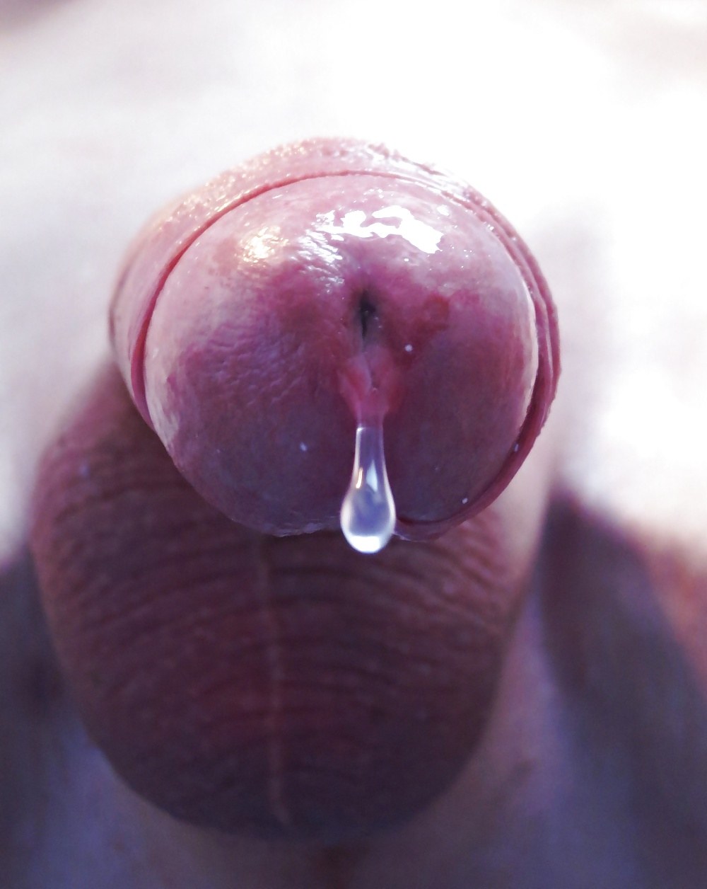 Plan de cierre precum