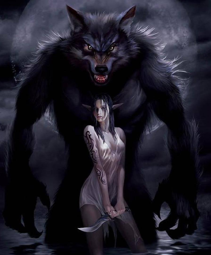 Noche peluda