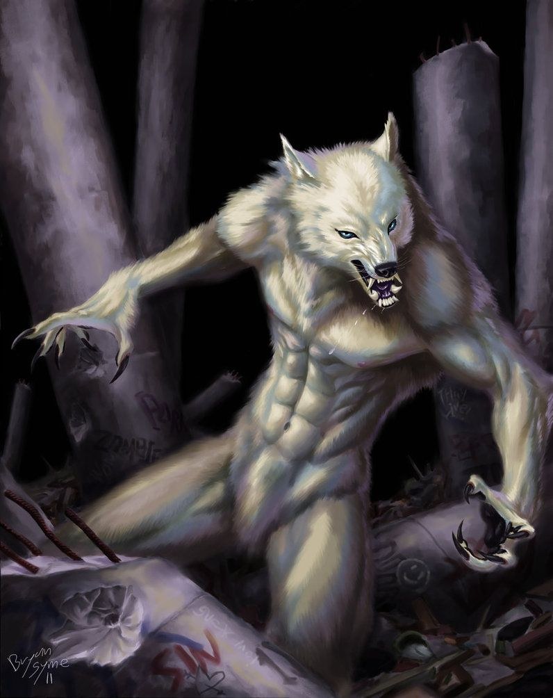Amor lobo y zorro
