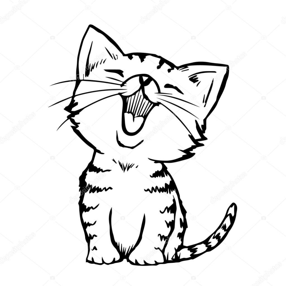 El gato fue quemado