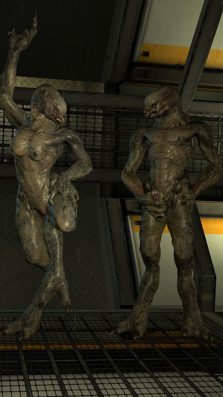 Halo elite