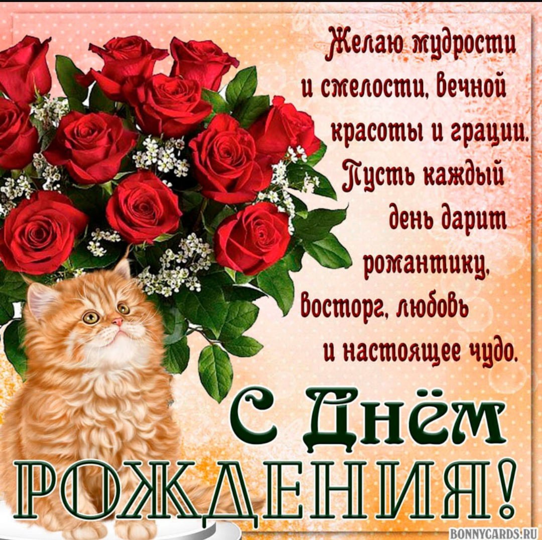 Lady Bug y Super Cat XXX Comics