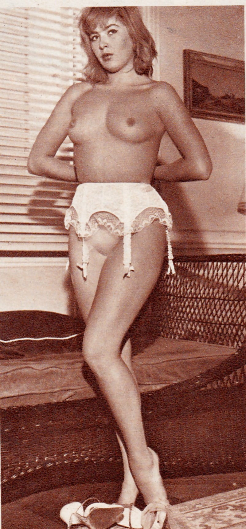 Revistas peludas vintage ero