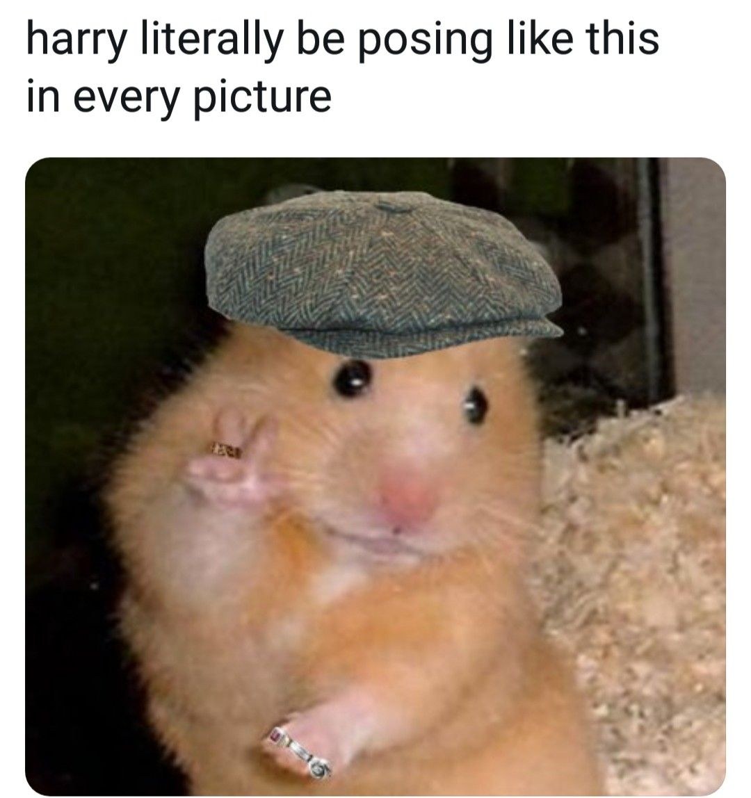 Skype hamster