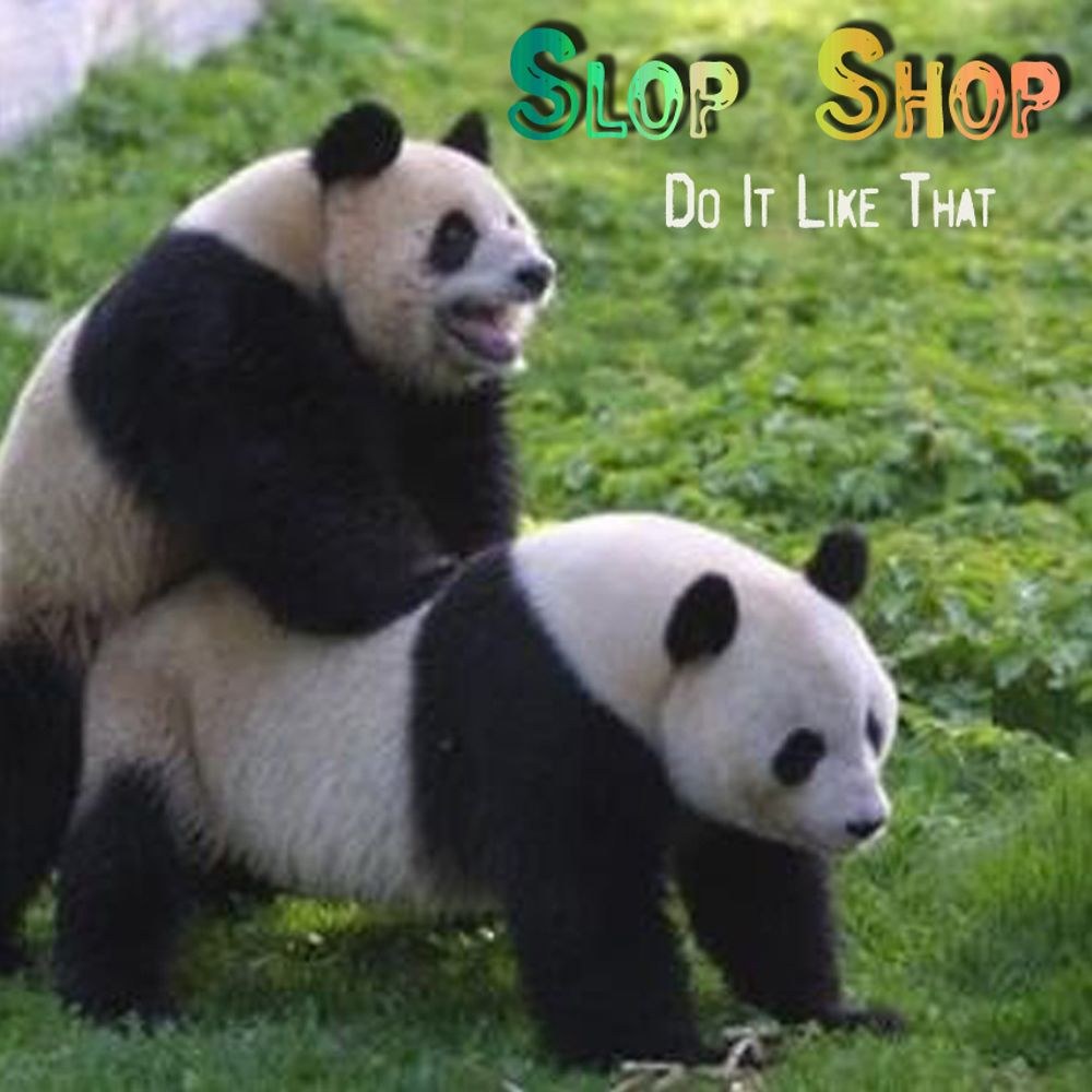 Panda delgada