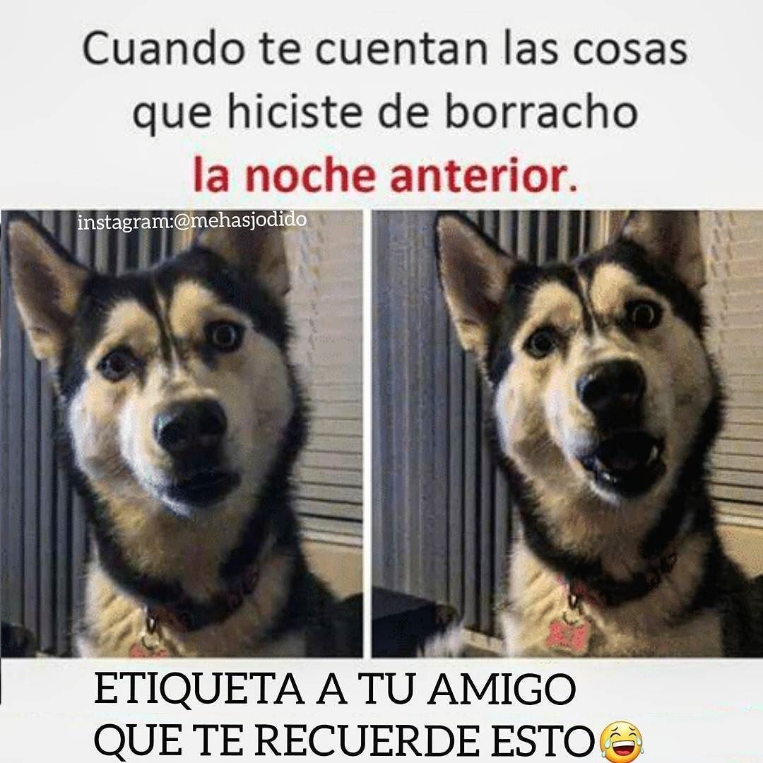 Chicos rusos desnudos en el auto