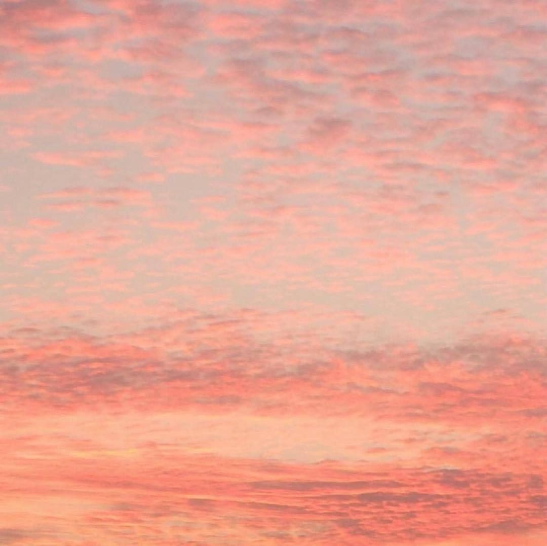 Querida en el personal de anime de Franxx