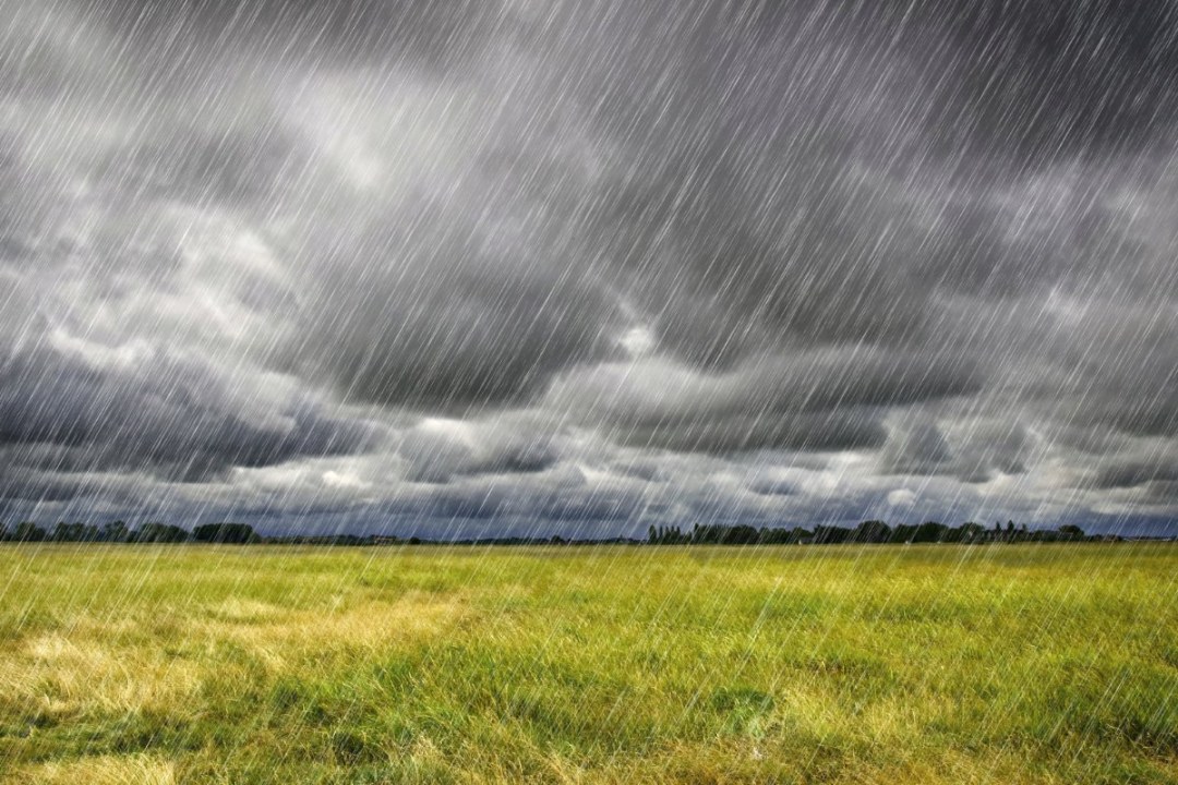 Lluvia en el campo