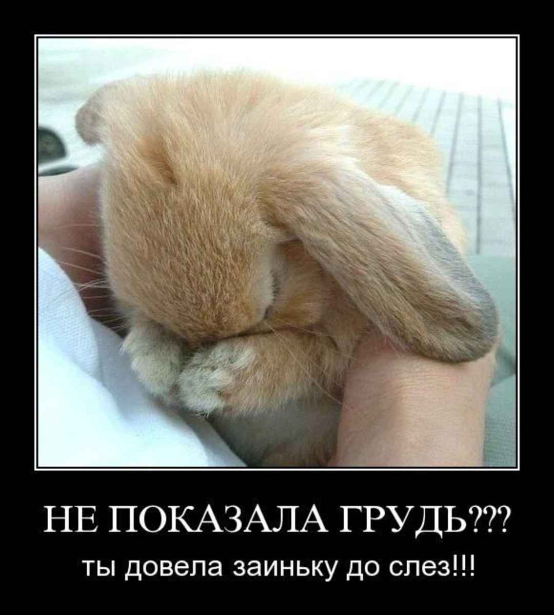 Bunny estaba ofendido