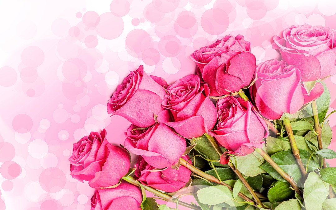 Postales con rosas