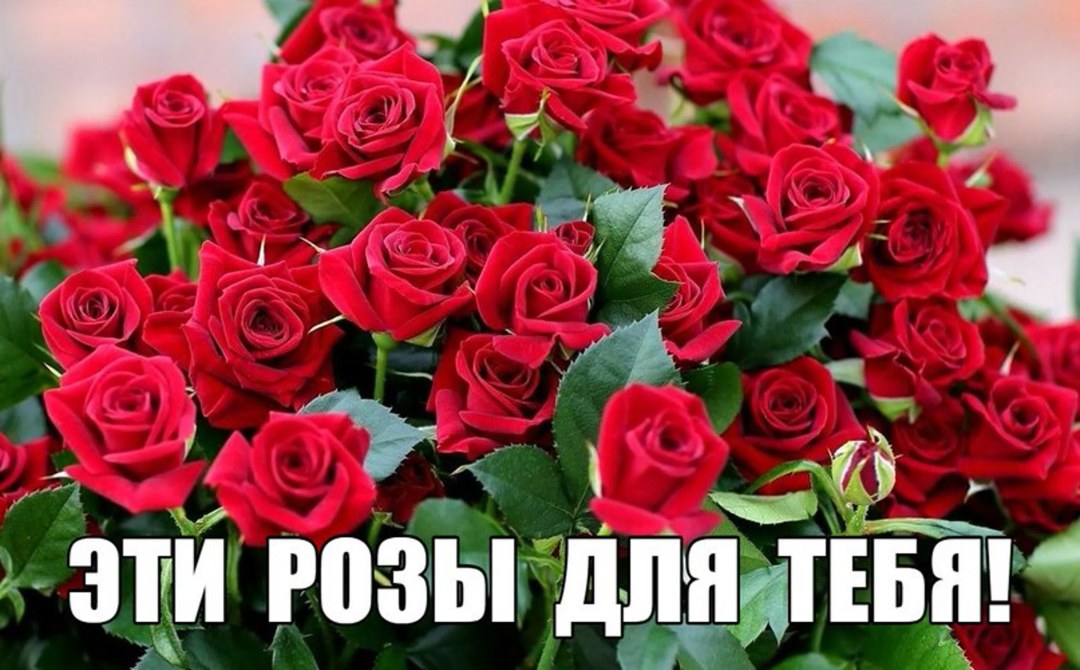Rosas para ti