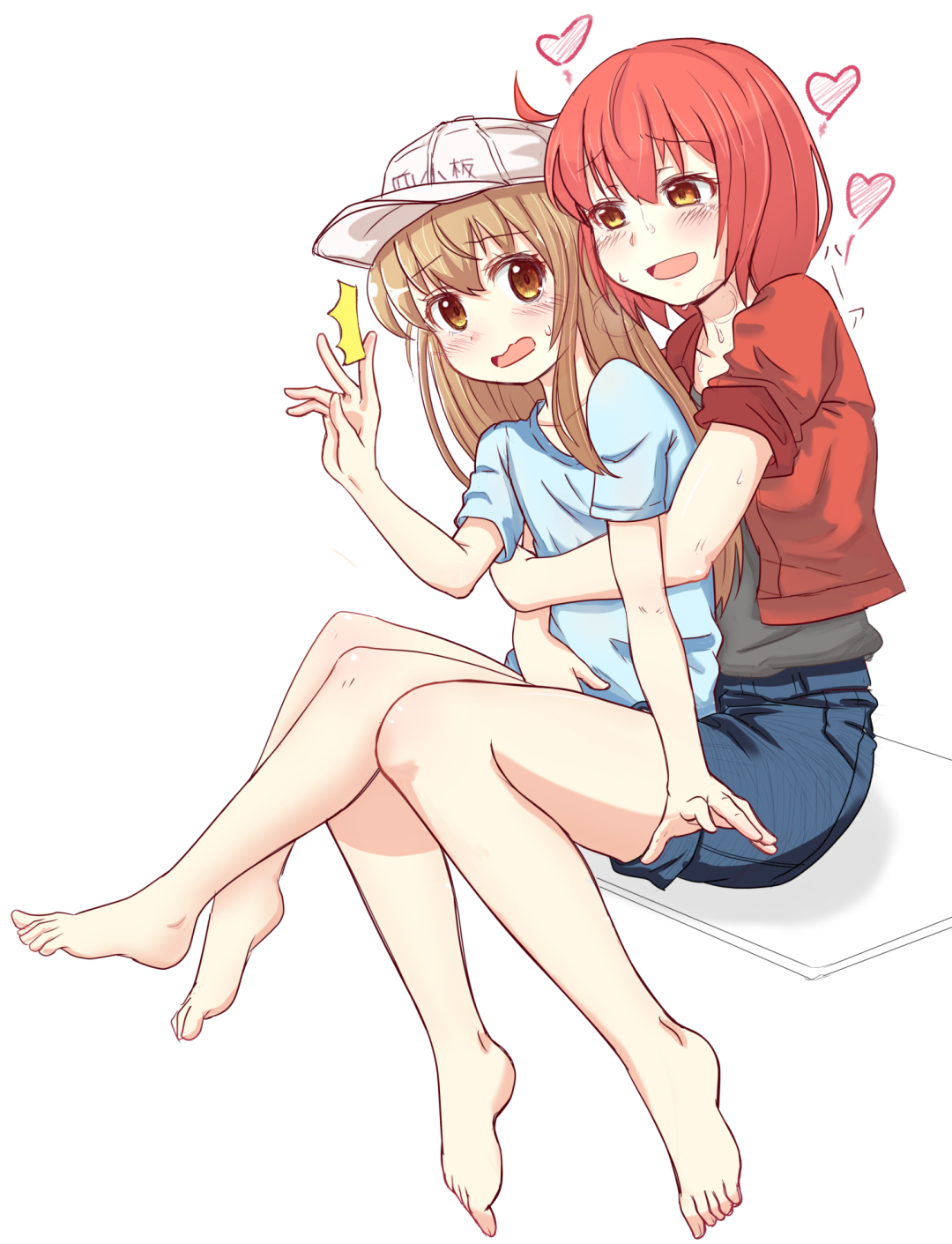 Lolis panza