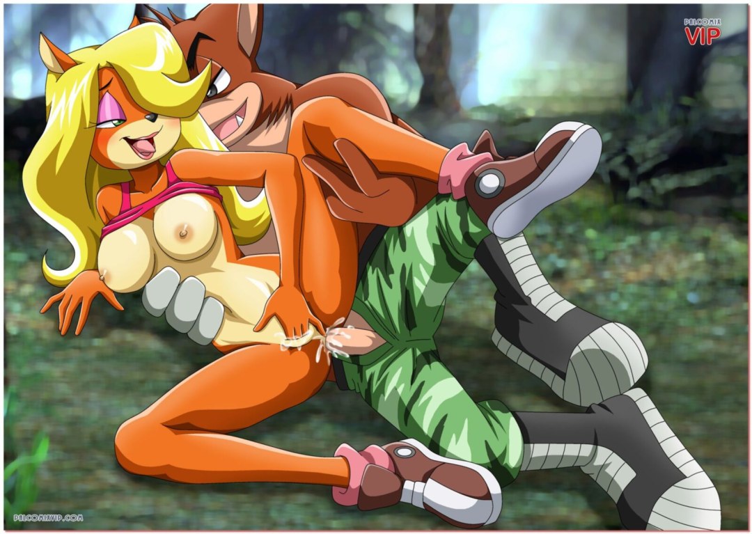 Crash Bandikut Coco Ero