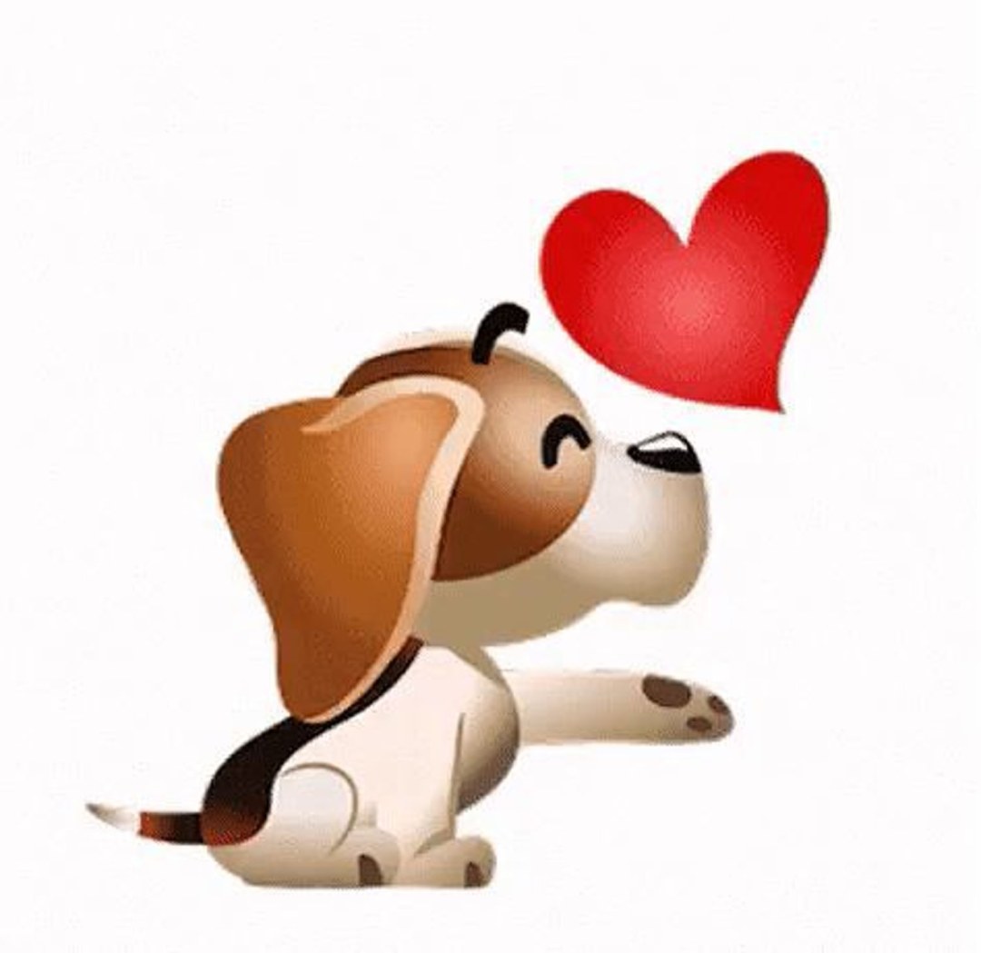 Un perro con corazón