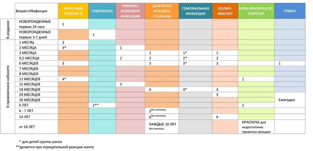 Calendario de vacunación 2022 con vacunas
