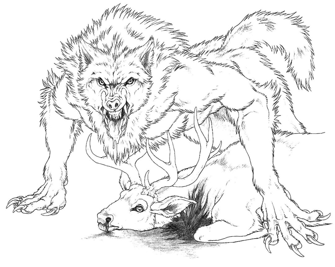 Lobo y lobo