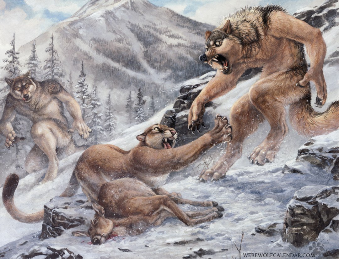 Dibujo de perro y dibujo de lobo