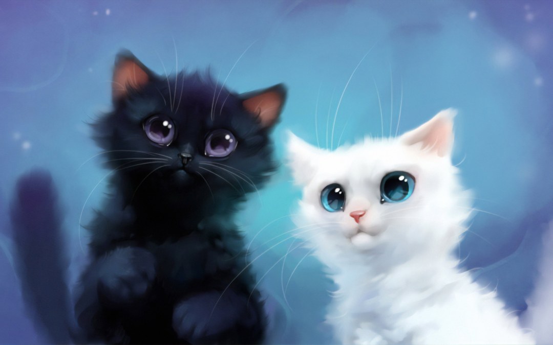 Gatos kawaii