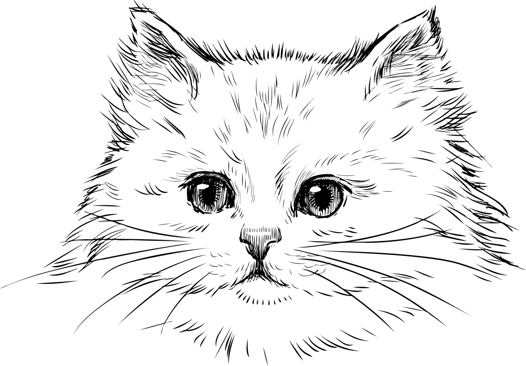 Dimil Yaoi
