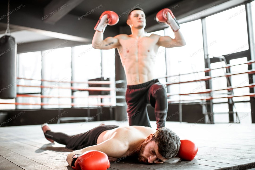 Los trenes boxer