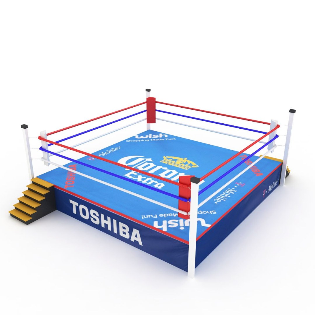Boxeador y entrenador en el ring