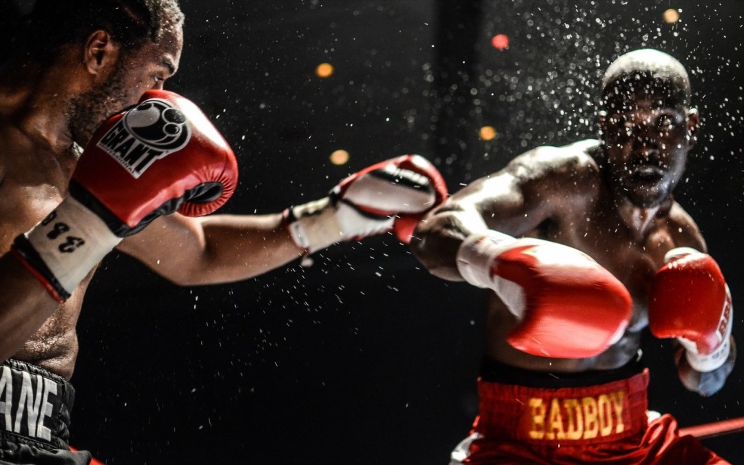 MMA Sachshell