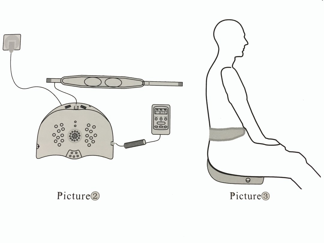 Anatomía