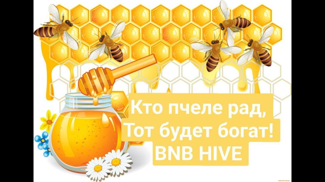Panales de abejas