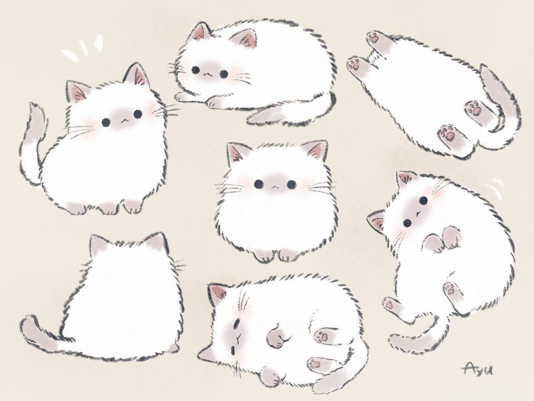 Bocetos de lindos gatos