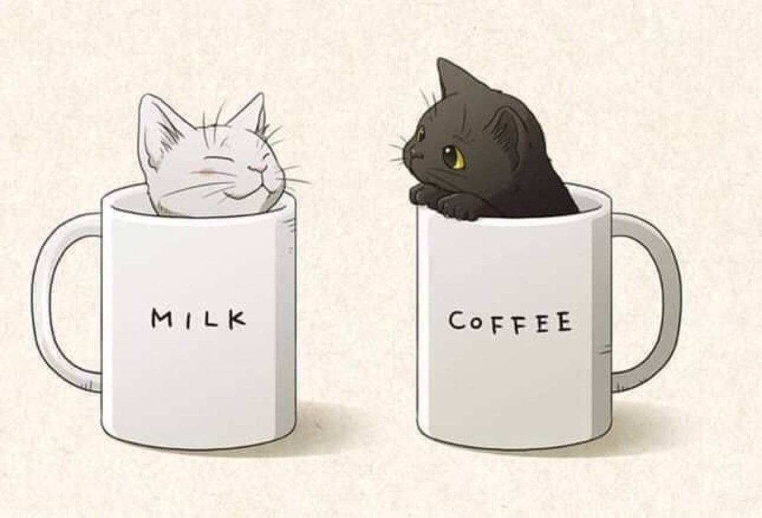 Pegatinas de gatos encantadores