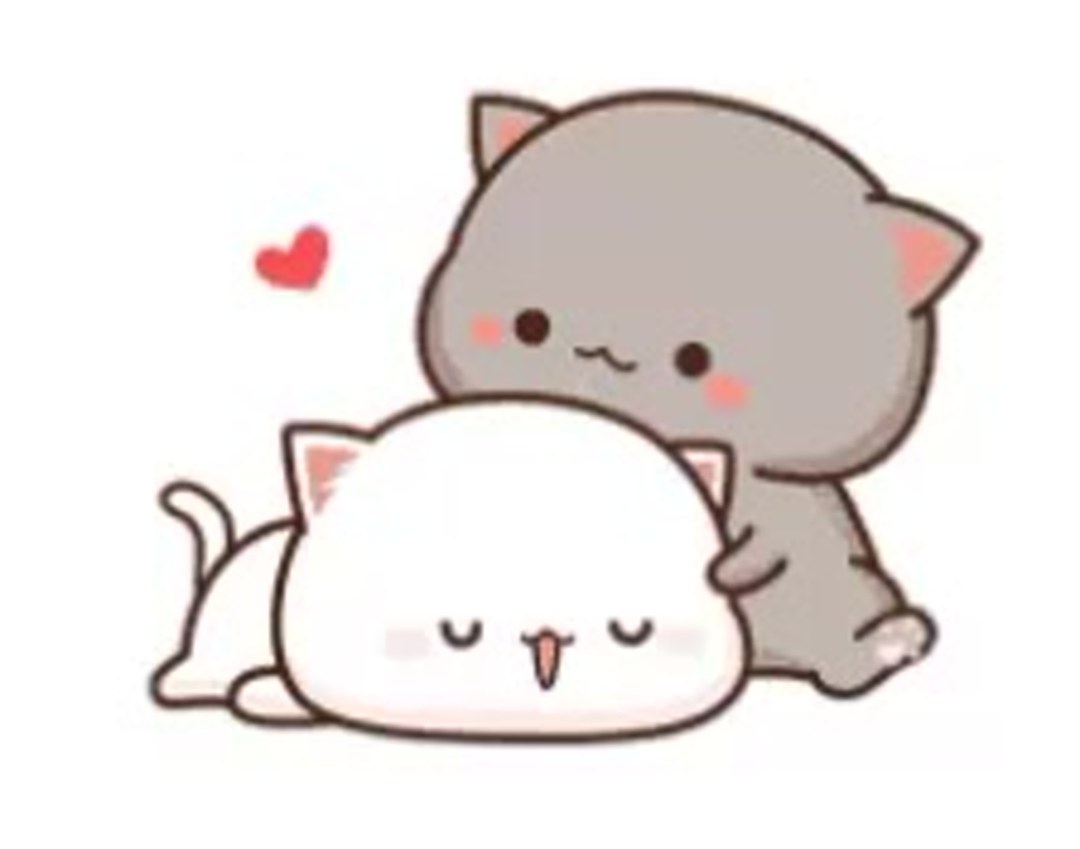 Gatitos delicados