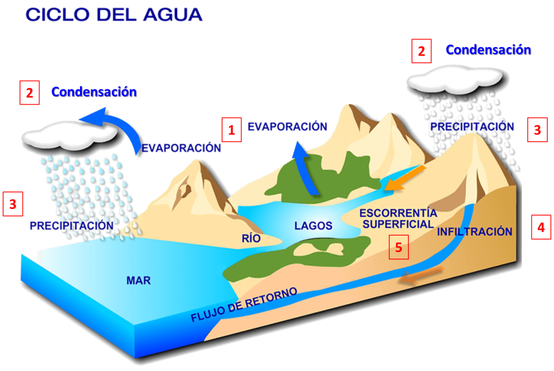 Olas circulares