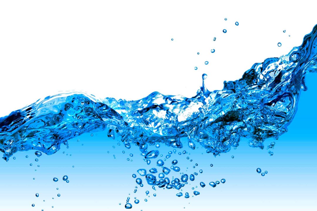 Día del agua sobre un fondo blanco