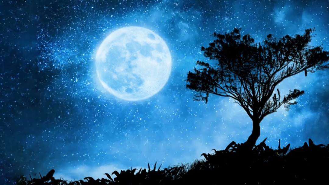 Luna kom tg