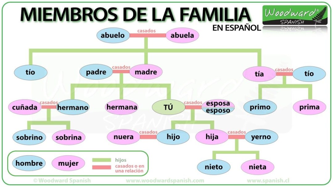 Amigo de la familia 1995