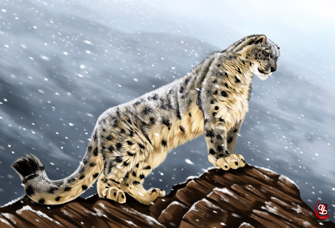 Bares de nieve kajit