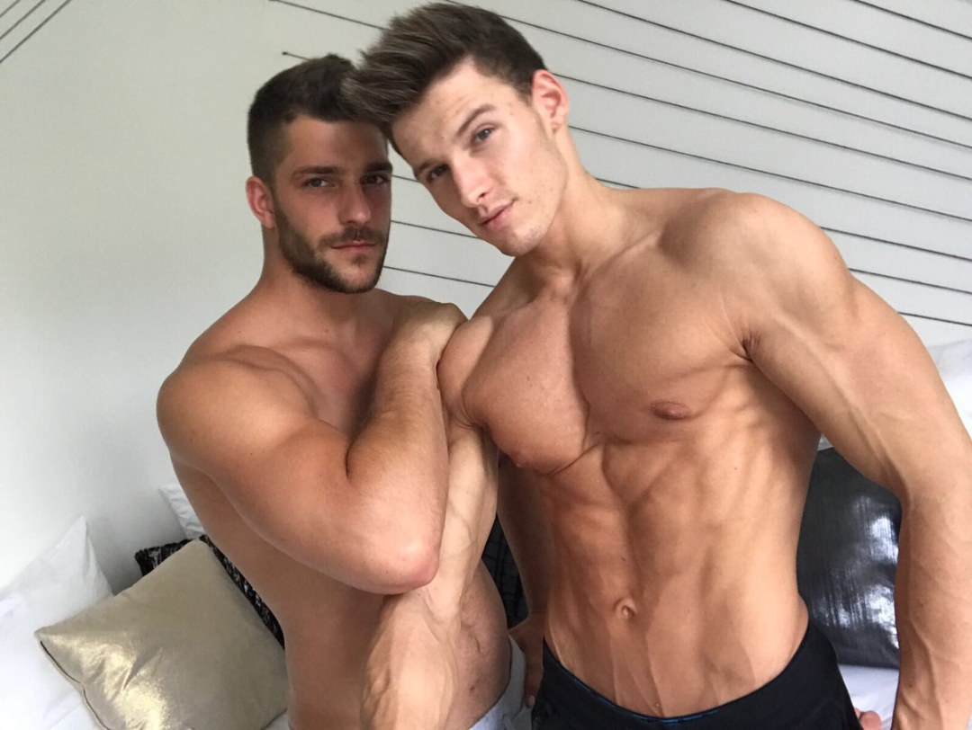 Músculos de Andrei Karenin