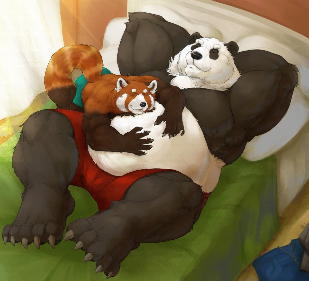 Oso y panda peludo