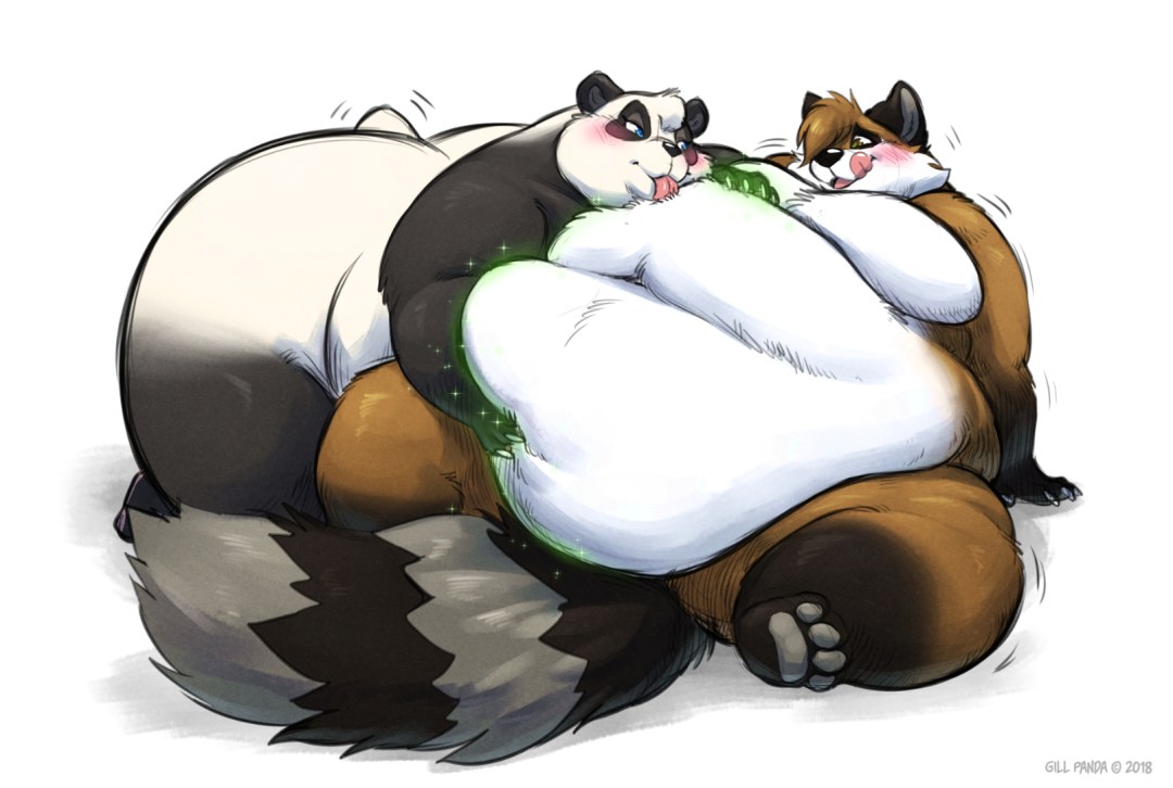 Disfraz de panda