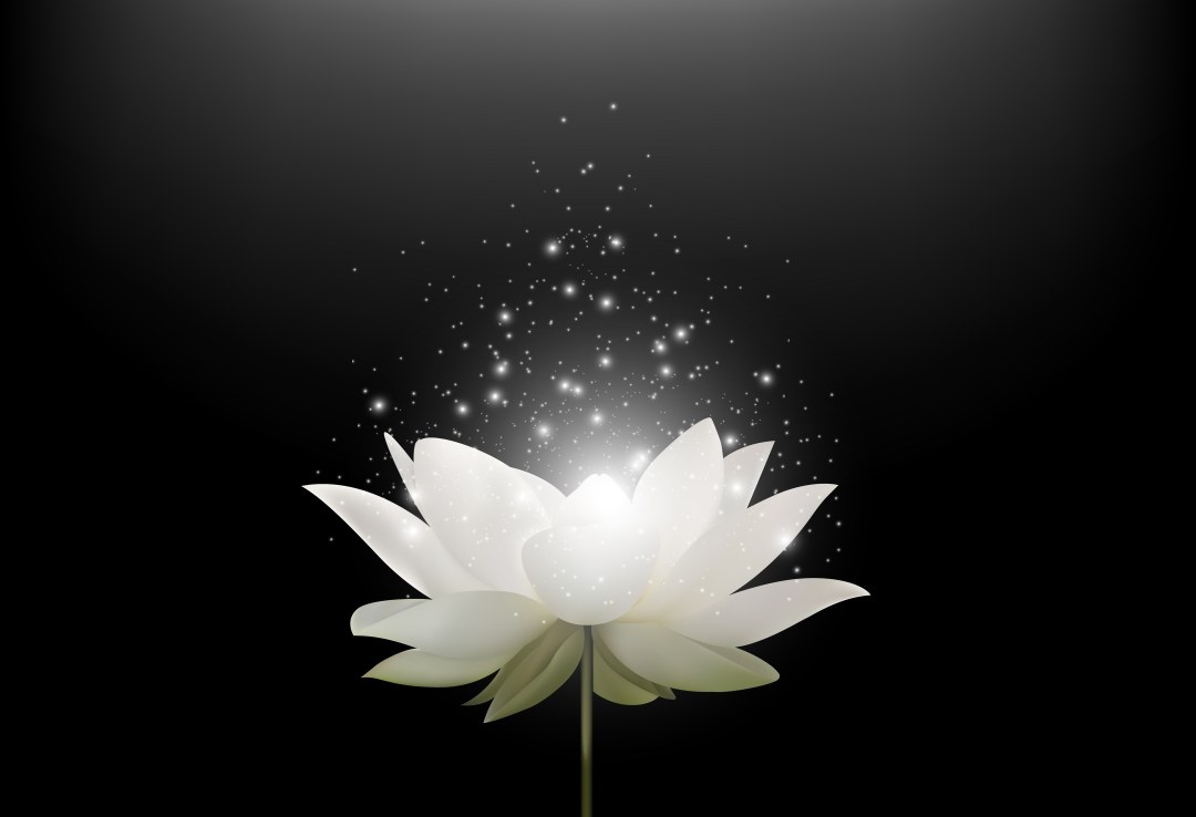 Lirios en un dibujo de flores