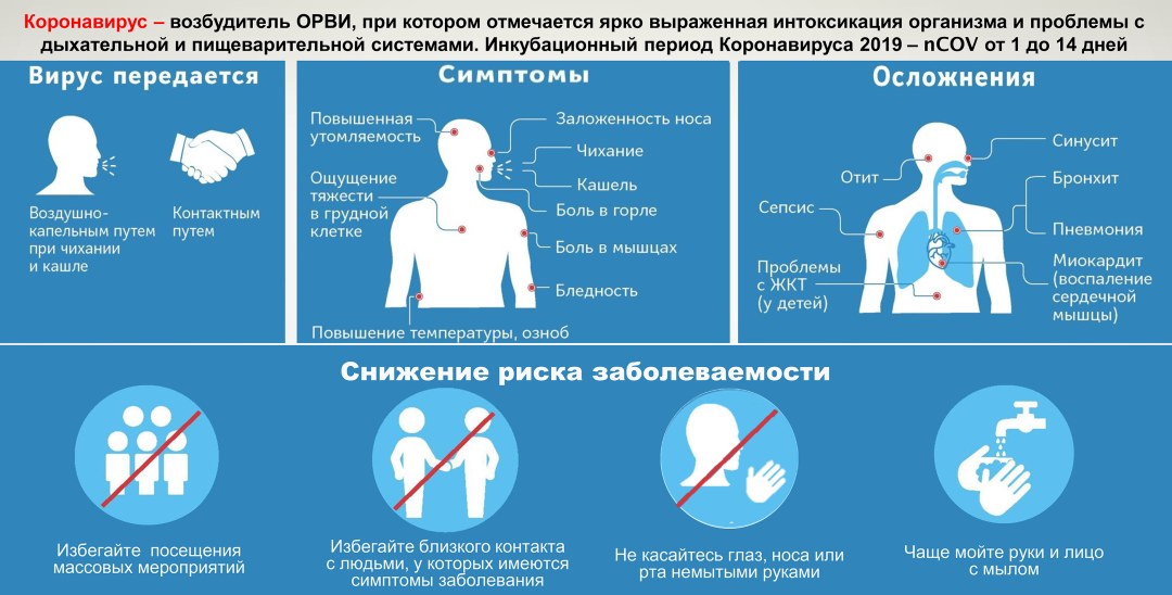 Síntomas del virus Kvron