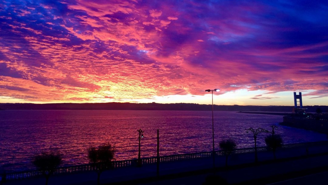 Blanco Brillo Tiles 30 90