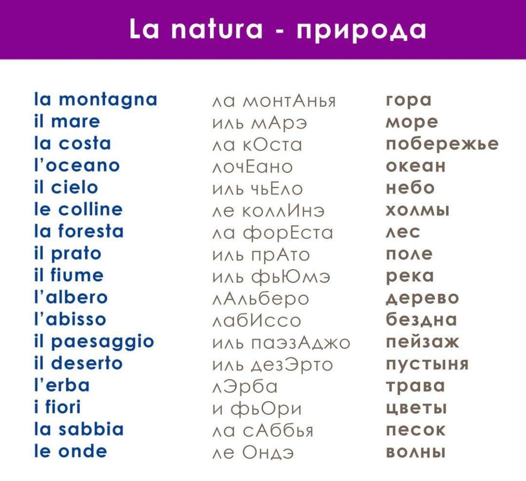 Palabras italianas básicas