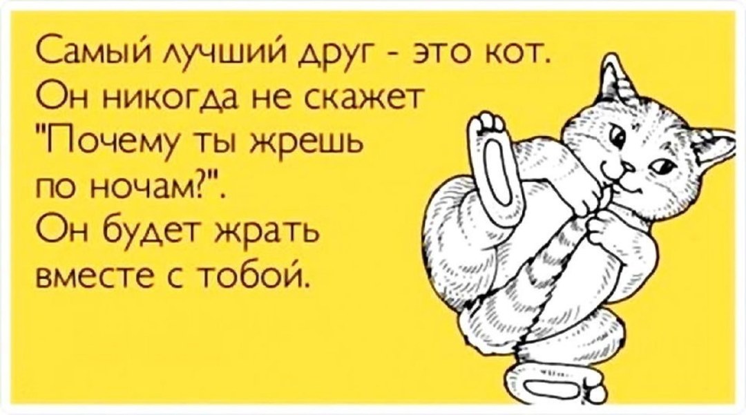 El Senor de Los Cielos Rutila Sex Lesbian