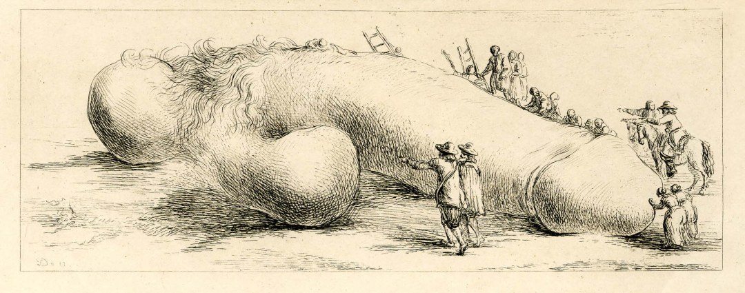 Mitología de scylla