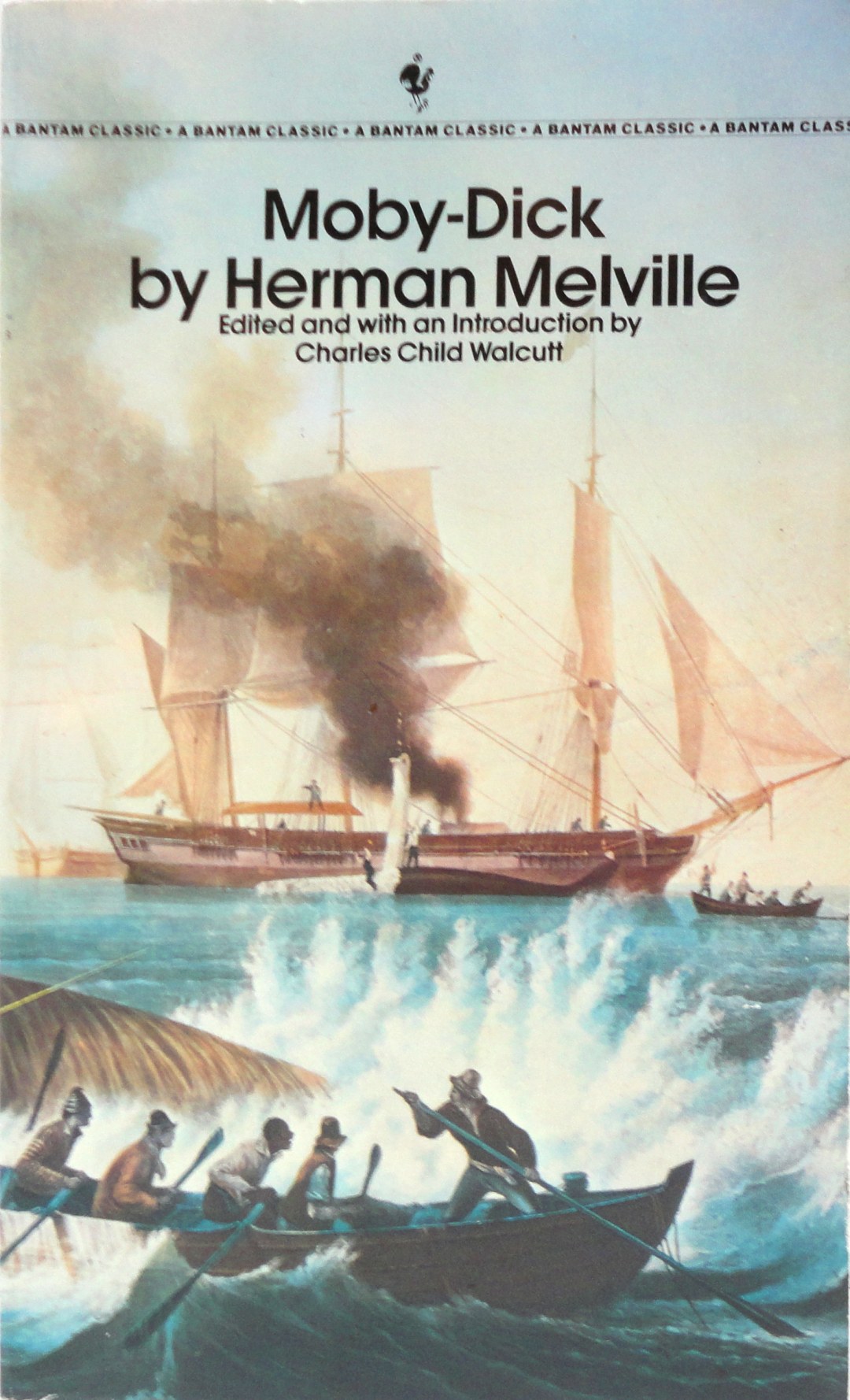 Resumen de Moby Dick
