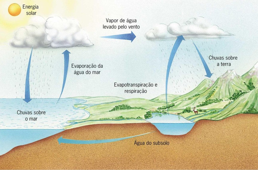 Fondo del agua